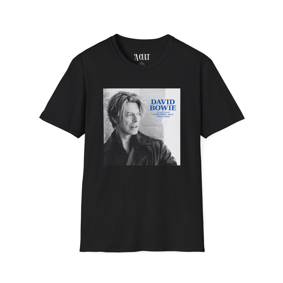 David Bowie - I Can&