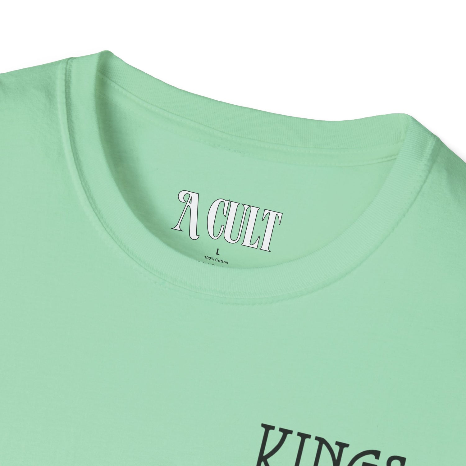Kings of Leon - Youth And Young Manhood - Unisex Soft-Style T-Shirt