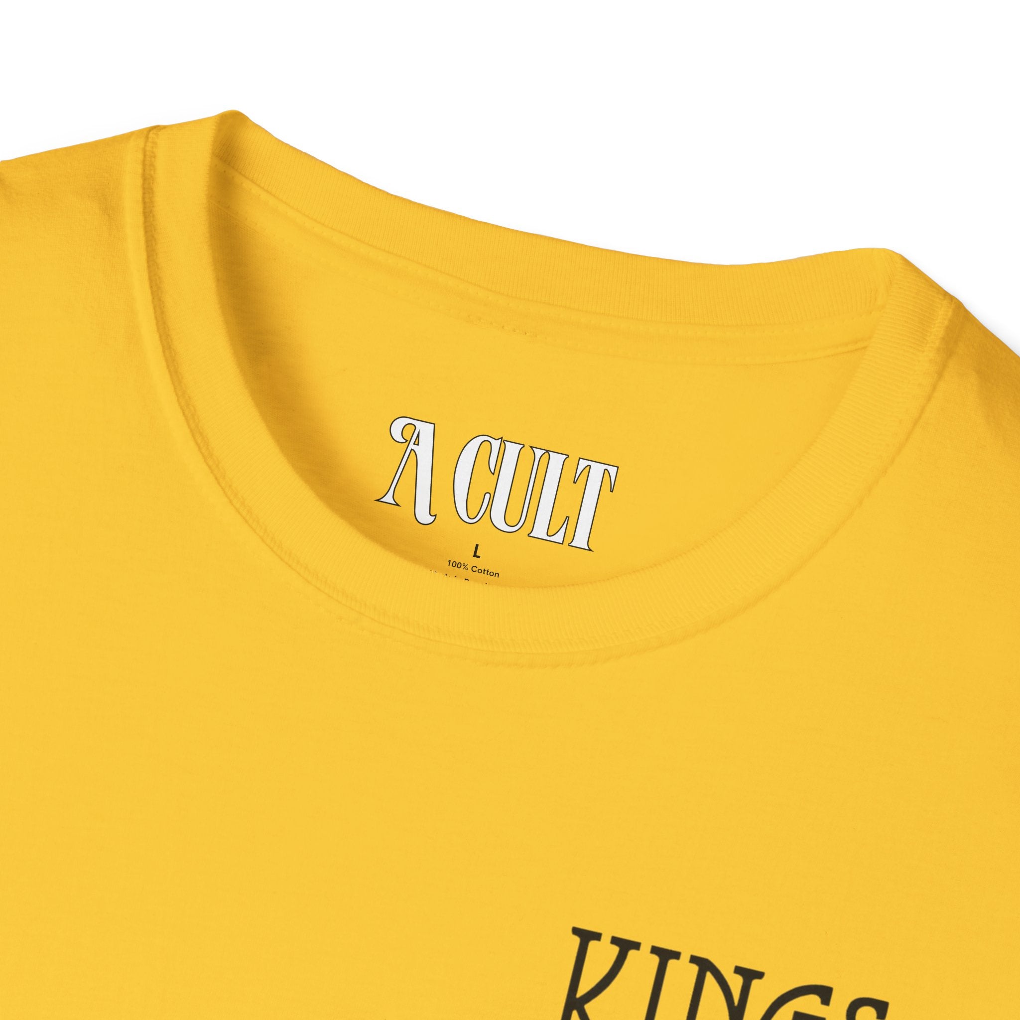 Kings of Leon - Youth And Young Manhood - Unisex Soft-Style T-Shirt