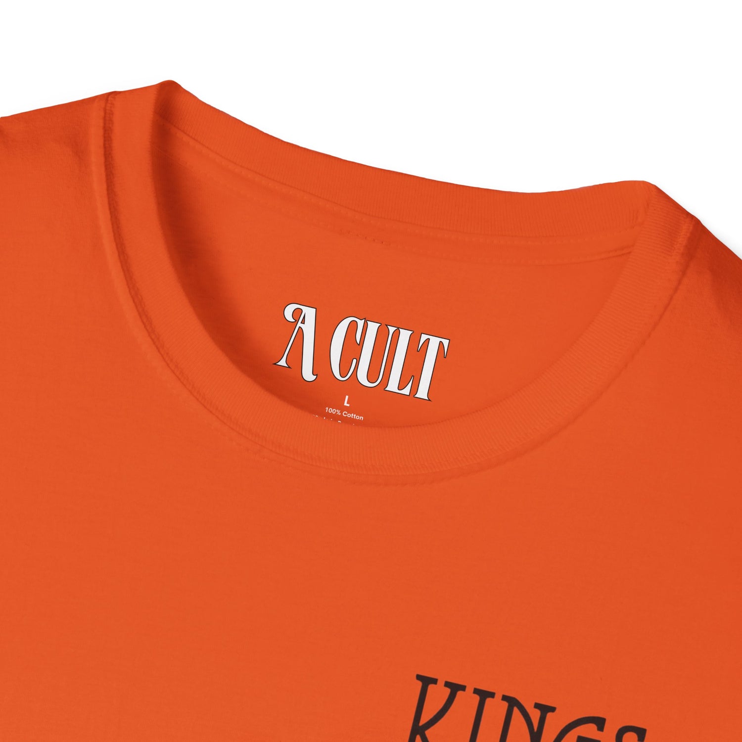 Kings of Leon - Youth And Young Manhood - Unisex Soft-Style T-Shirt